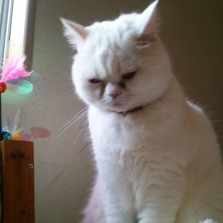 91674853 5813 4b62 8b67 8f295dad6ee4