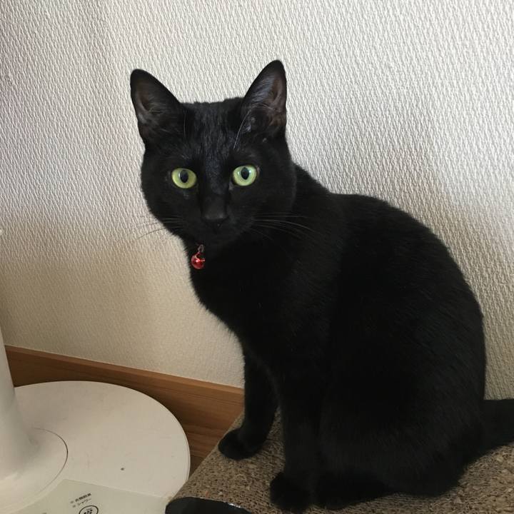 9167eb3a 7ee8 4413 bc97 40511c129246