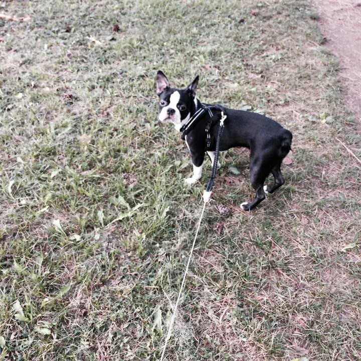 916833a4 08fc 411f a4d9 5fb48179cc45