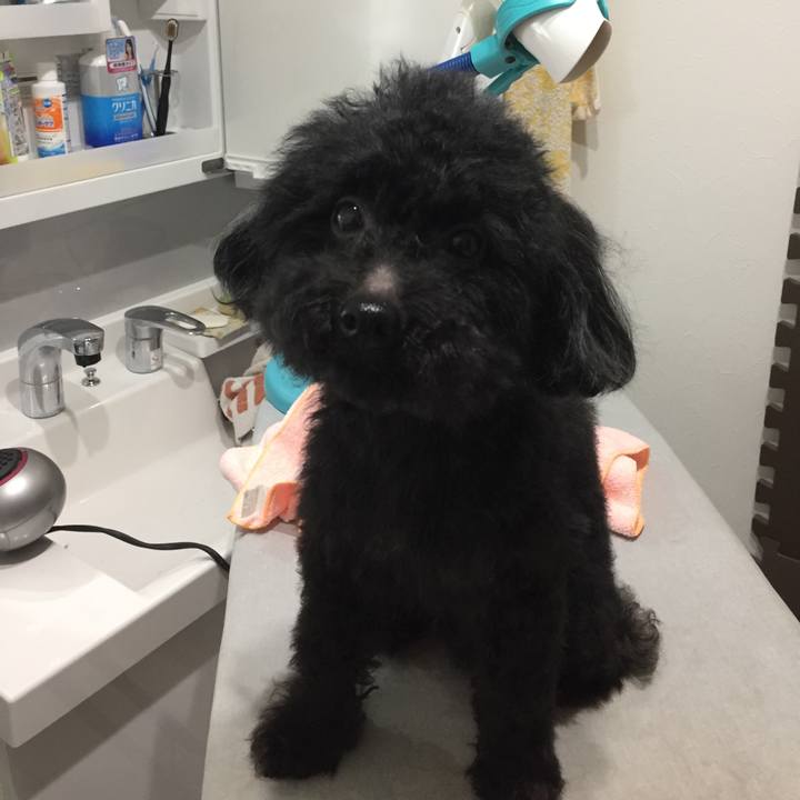 9168e07c 8663 4a8c adc4 2da0670e2e9d