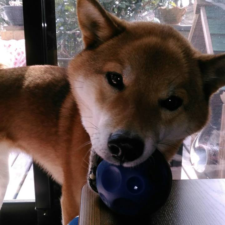 91690049 22c6 4abe 8e7c 541a1b350f88