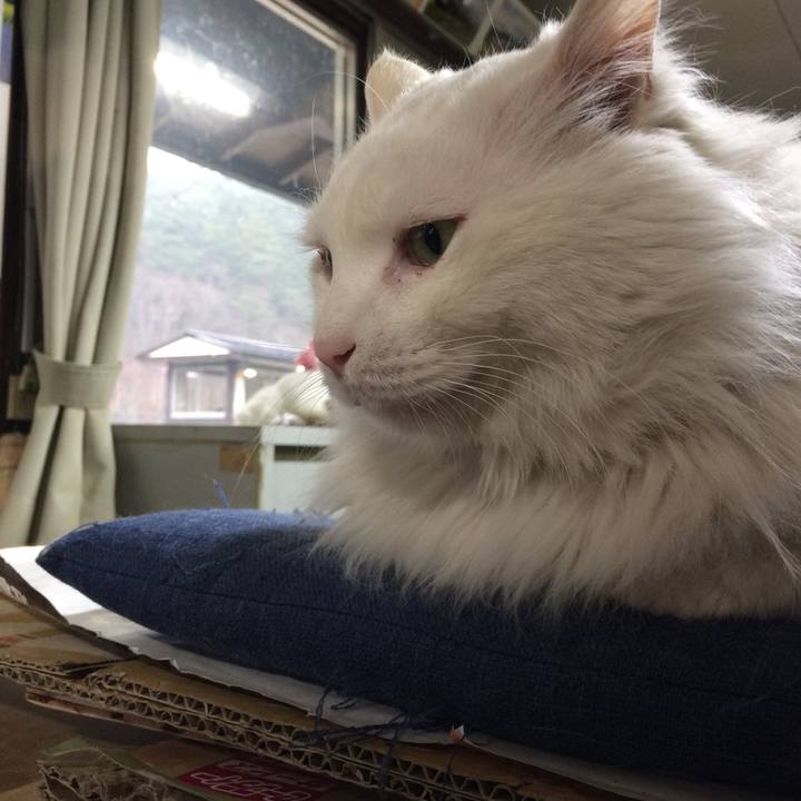 91694499 09a5 43c6 b0e7 80be9e81497e