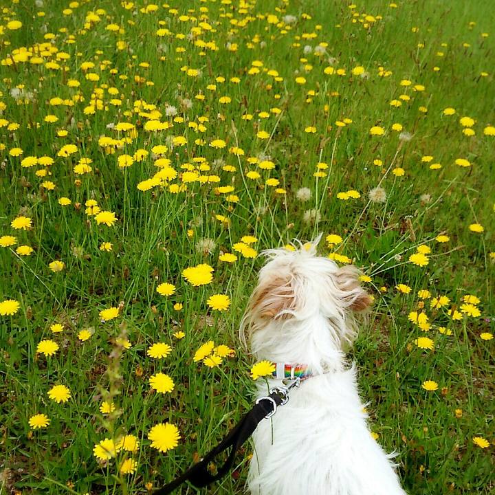 916a1a55 a87d 44e4 aa4c 70446cd0e01f