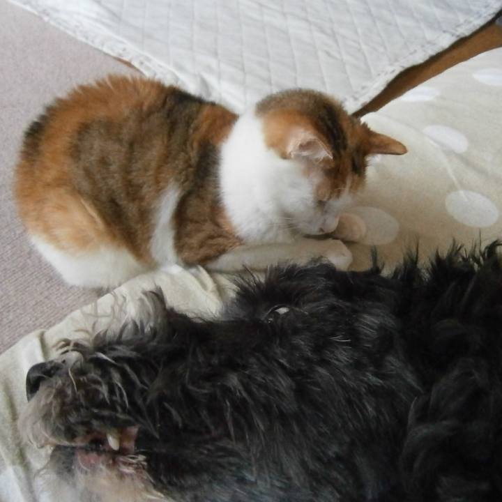 916aae62 ee15 4a77 8ad2 bc76bc182194