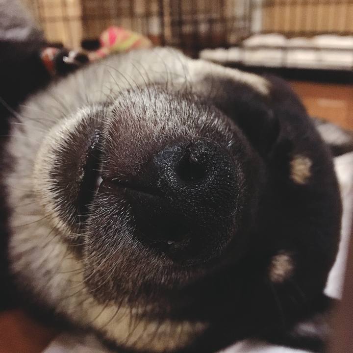 916af376 4252 4cec 9797 a2e3f0a3962c