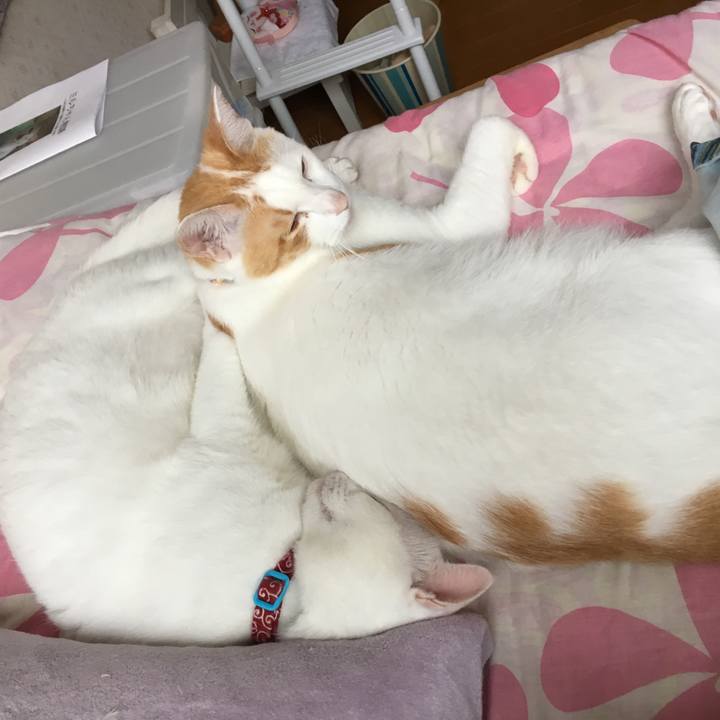 916af5d8 ffbf 4611 8c43 139beace7185