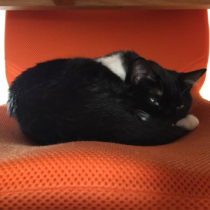 916b0b59 1607 4294 af40 80ca2d1fc1df