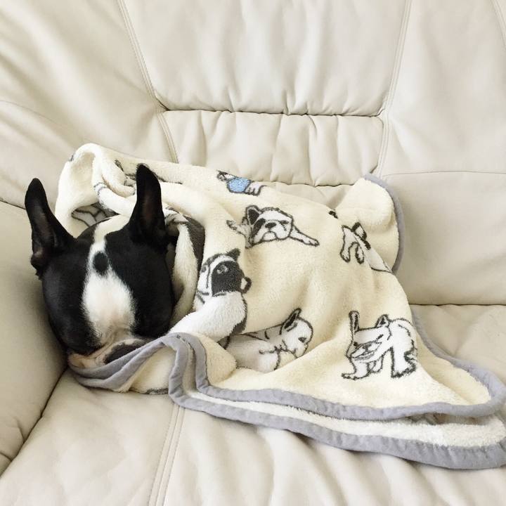 916b34d4 07ac 44ba ada0 fdb1cabbdb20