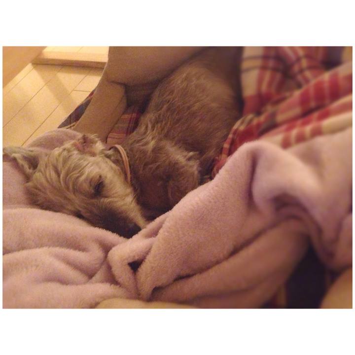 916b5223 3cbc 45d7 98ad e18703c544f8