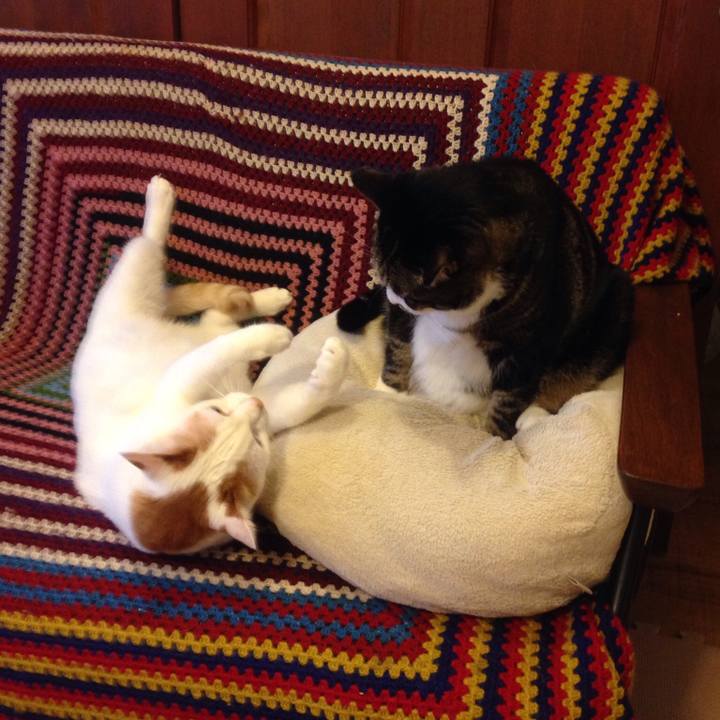 916b6f54 a2c9 4615 8535 eb589880a5f5