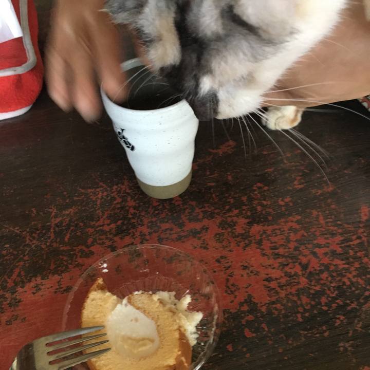 916c2ff1 5f65 4c94 97f2 cb6b27a42773