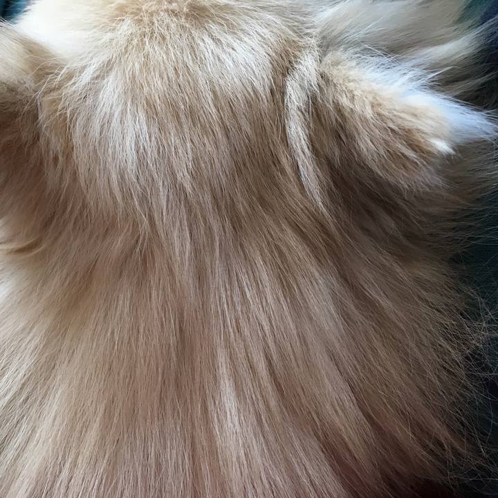 916c39af 7b6f 43f5 b90e 6bb515f8d560