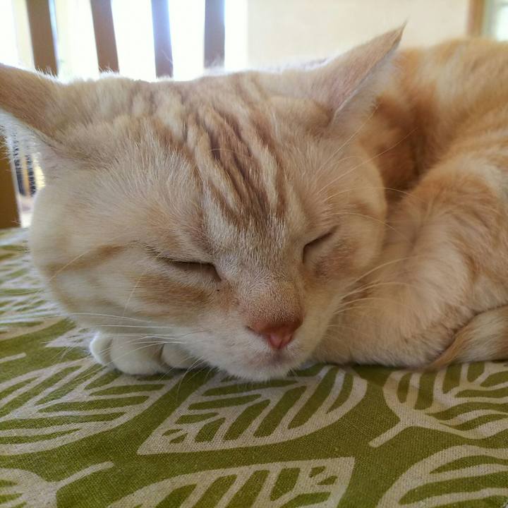 916c92bc 344f 4e84 8029 5d006c83772a