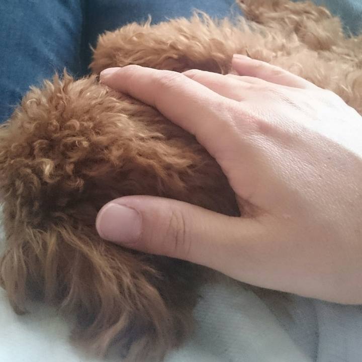 916d48b3 efbf 48e5 b7b0 43065740344e