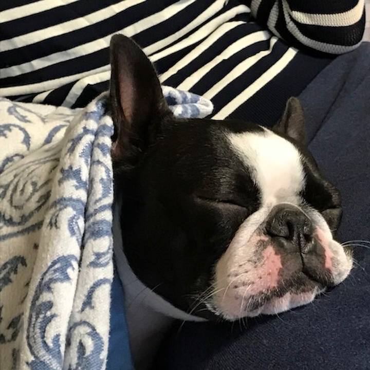 916d49db 074b 4492 8320 ec5f76c51034