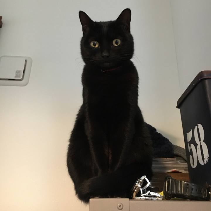 916e1d56 80b4 4caa a270 48a8d7601bbd