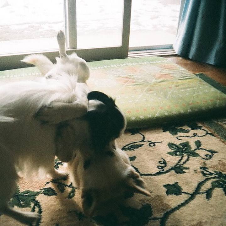 916e3b45 4bff 4a73 9bc2 069a38c8a119