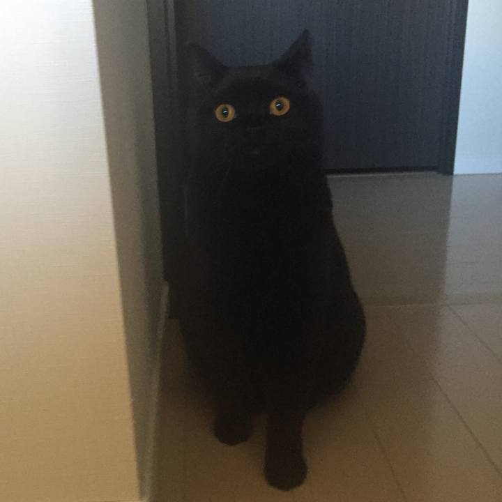 916e4fdb 034f 4223 b330 1fe592b19f66