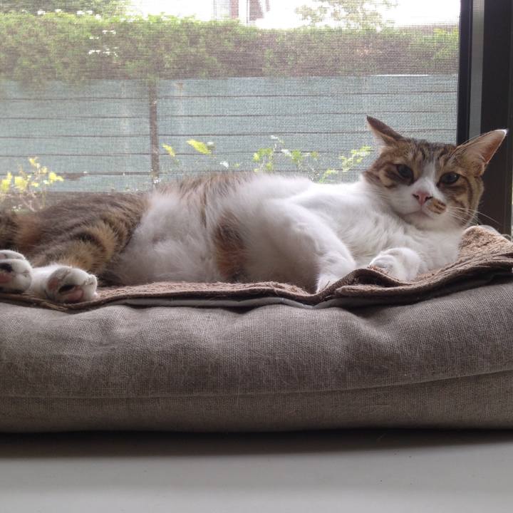 916ed5dd e611 454b b162 6b7fca275995