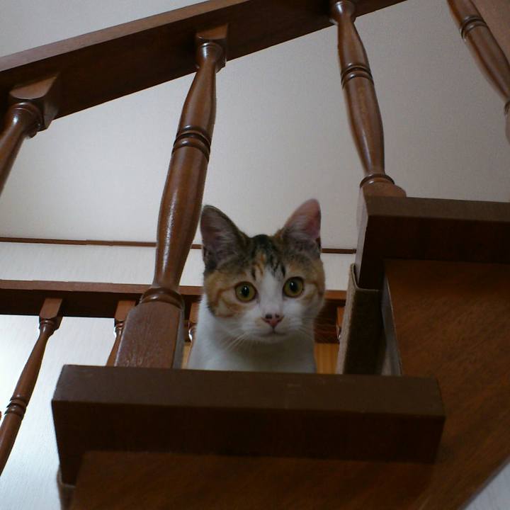 916f01a1 4aff 4359 b526 c2fe43b7001d