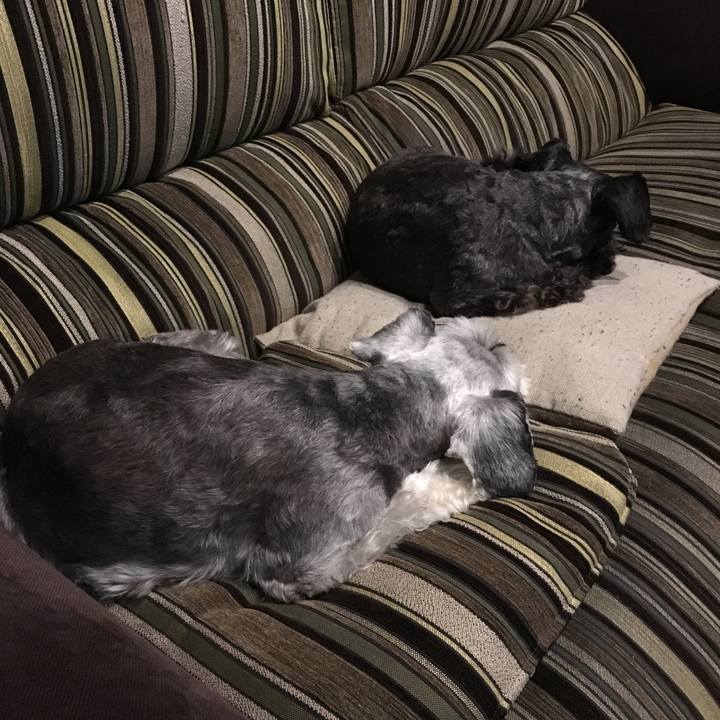 916f6c5f e92f 4bb3 bdaa 407bbff59f89