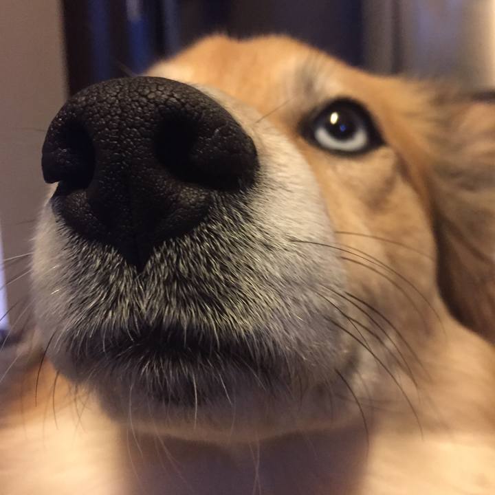 916f98ec 6a61 4c07 a344 4faa6b8b0dfa