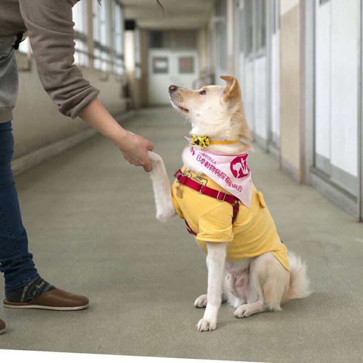 916fa09b 3ad1 4087 a088 29507cbfc20d