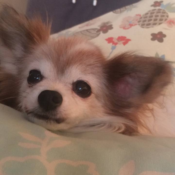 916fb12a d934 4b12 bbae 210de8c4ac3b