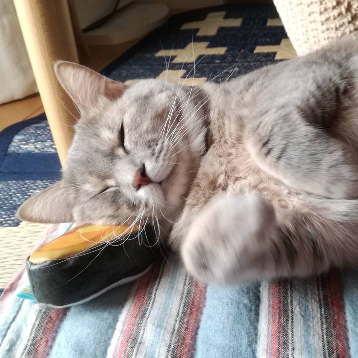 916fe652 80b1 4205 86e6 1229a10bc2f1