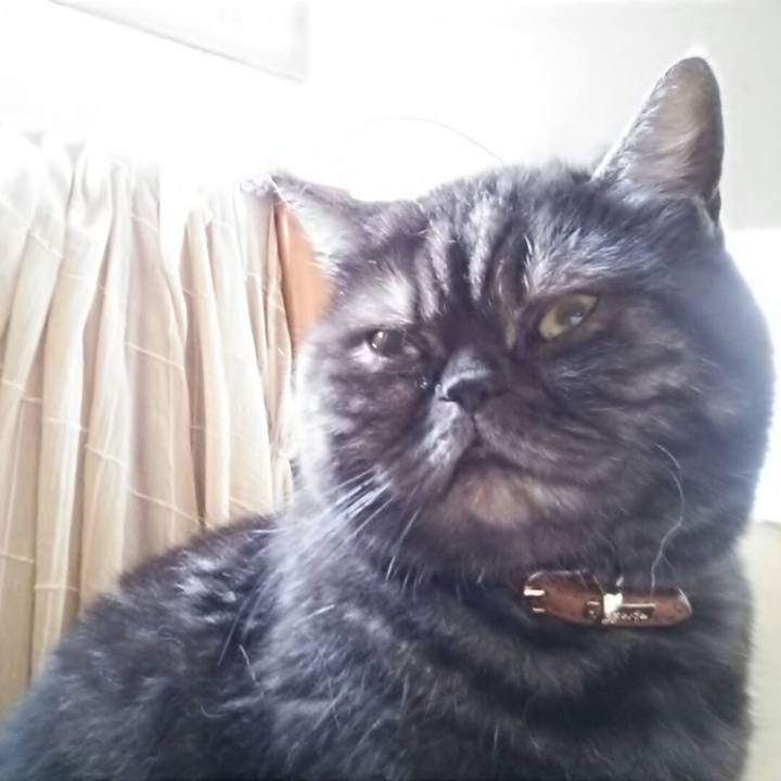 91708dd5 f24c 41ec b1e2 3fe6a67352cc