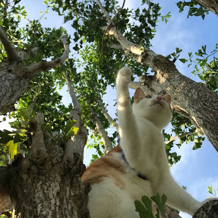 9170d52a 5f02 4326 80ea 35d400ebf644