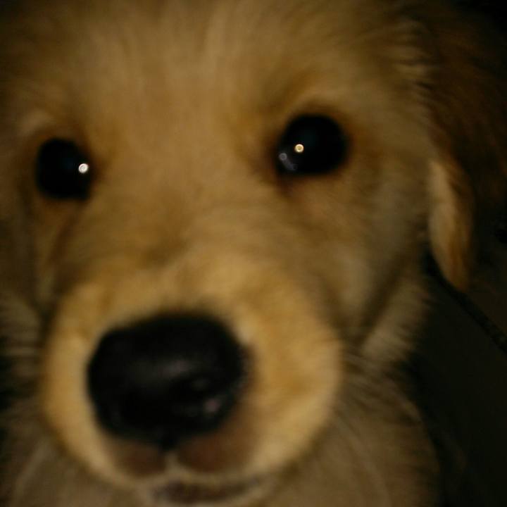 9170f5a9 6428 4c97 b5b6 5c4bff78a865