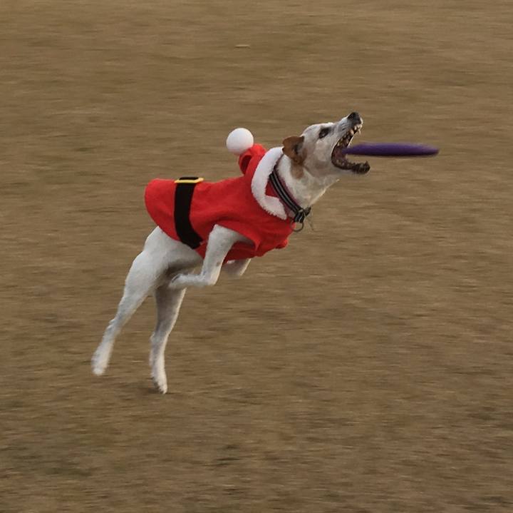 917101be 617f 4192 9e25 5a942c78ad6f