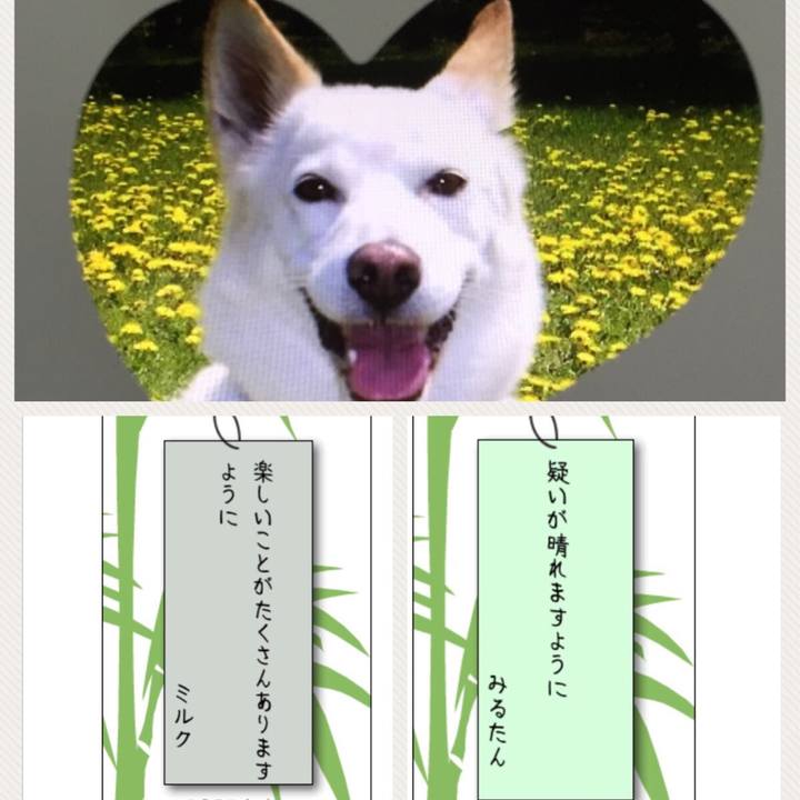 9172cc92 d1b0 475f 84d0 543b16cf7d98