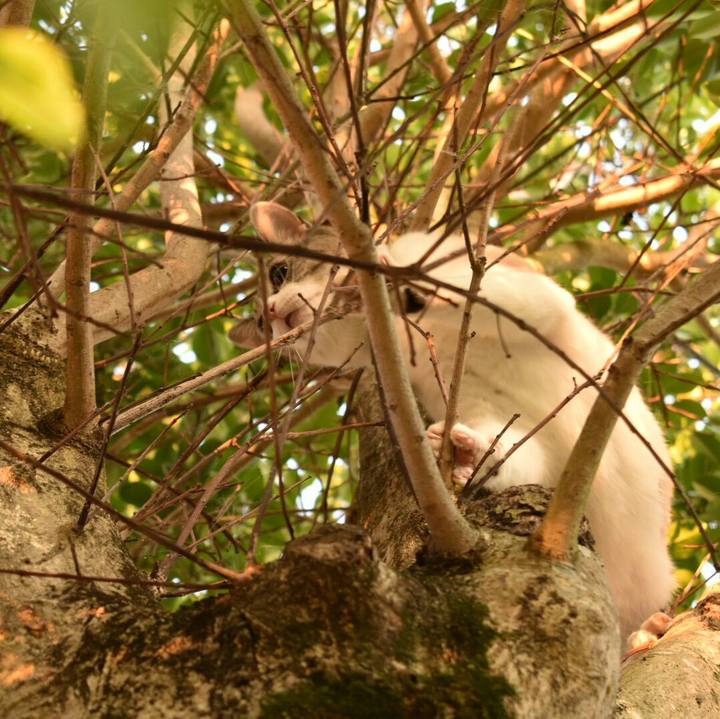 91743659 1c7d 402b 81c7 6ef63ddff9c5