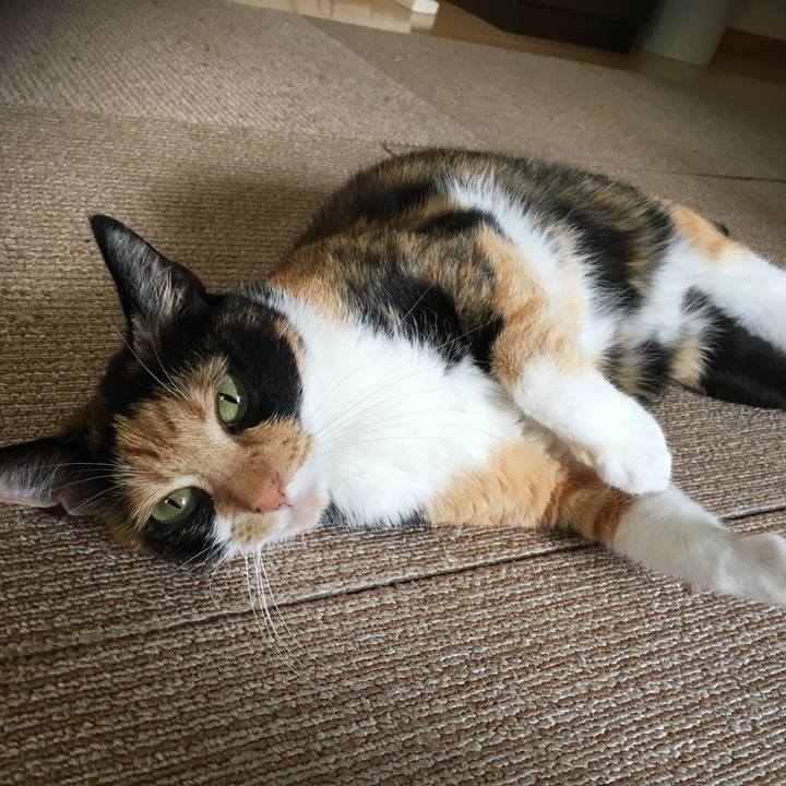 917446fd 7486 4c79 85d9 8229eea440cc