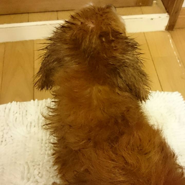 917447aa 614e 4450 ba39 7ec830279b61