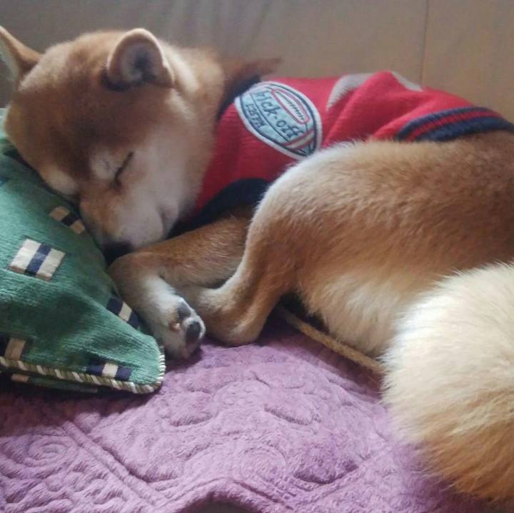 91746efd d2a8 476f 8d22 6450b1a9eb7c