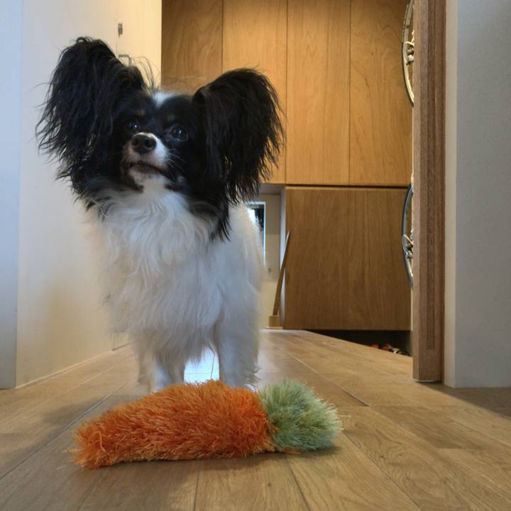 9174a2a1 614e 4301 ab58 ae10455660a5