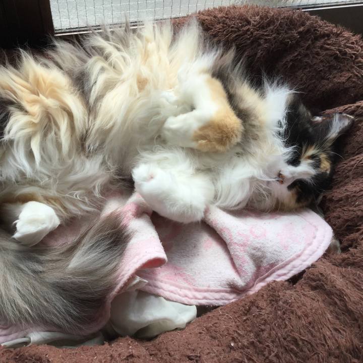 9174e356 5da1 4f0c be40 f26e2b0236d3