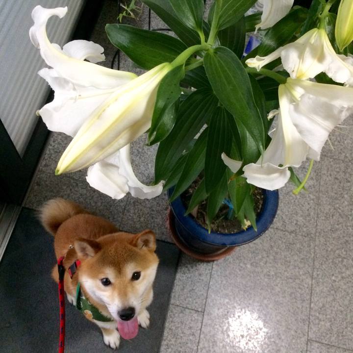 9174e57b 5329 44af bb5b 675ecb73fae2