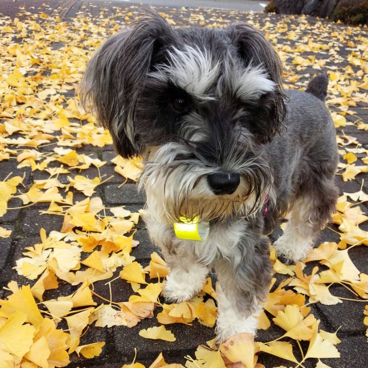 9175a676 d129 4fc0 8d06 ce69d0726851