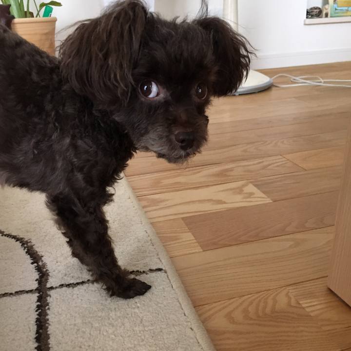 9175daa1 c204 4e30 a346 c485a5293563