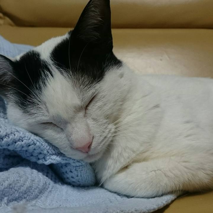 91767ce3 06ea 4e4a 8bc5 684706bd98a6