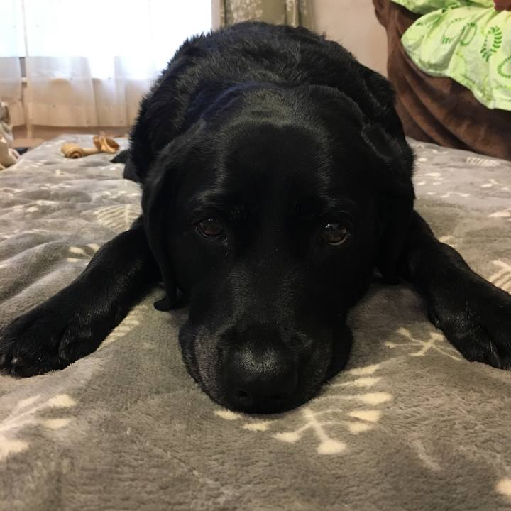 9176c0f0 55f6 479a 9389 3e583aa6ffe5