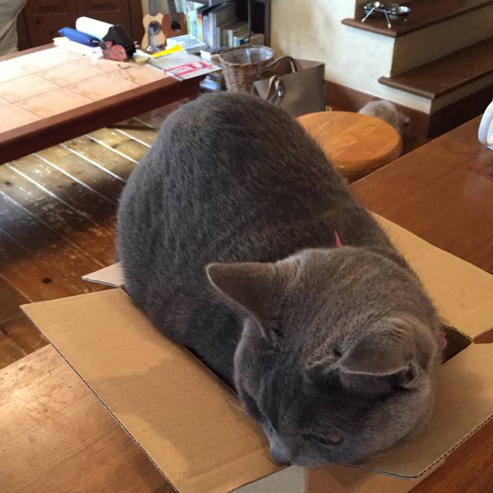 917709f8 17bc 44e2 afe1 ae2c34796792