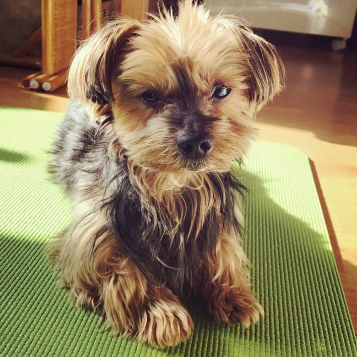 91772d86 938e 47d6 b86f 2018fc53ab7f