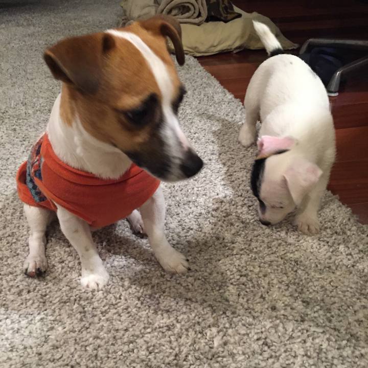 917744e1 c97a 48c1 9dd4 987f646b3b58