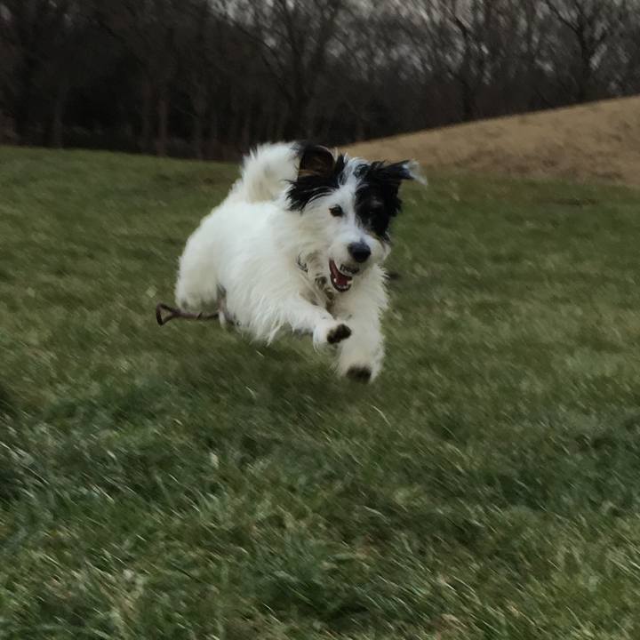 917748f3 03e1 483a 9d1d 181eedb56558