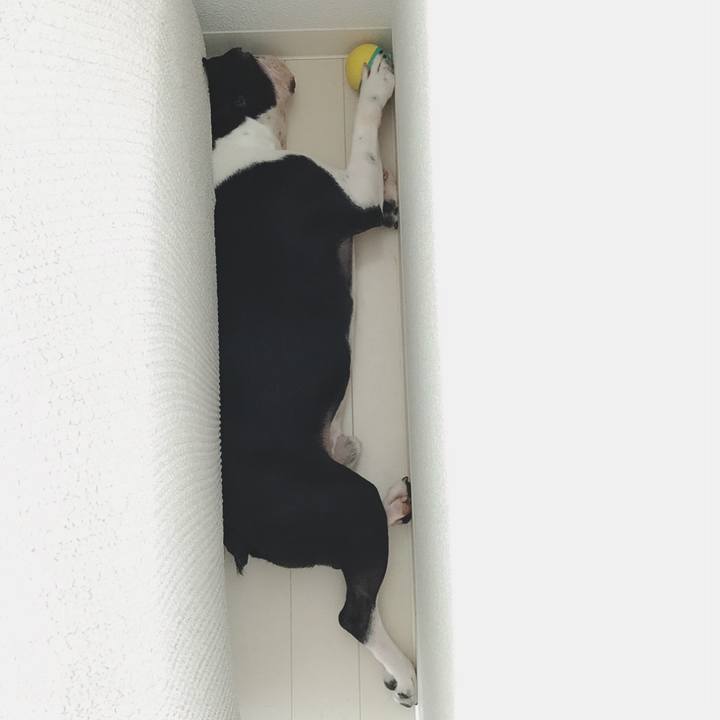 917761db f6eb 40a2 9226 6ca66af56c24